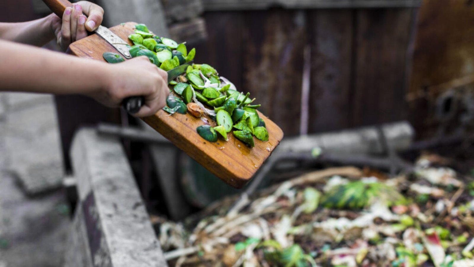 Composting 101: A Guide to Waste Disposal