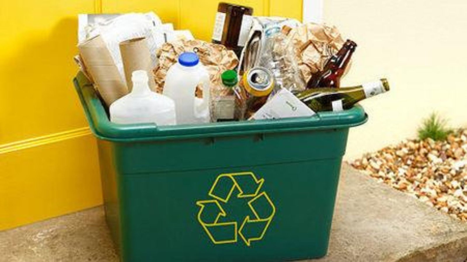 Understanding Waste Disposal Regulations: What You Need